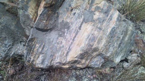 Гигантские зелёные валуны для ландшафтного дизайна весом более 5 тонн купить в Чувашской Республике