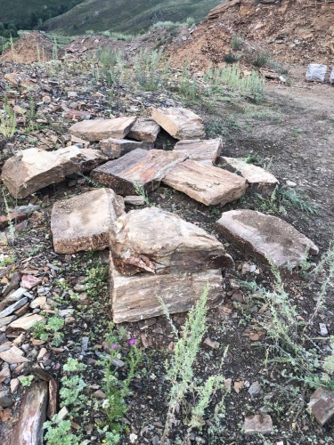 Пошаговая дорожка из плит златолит кора дерева купить в Чувашской Республике